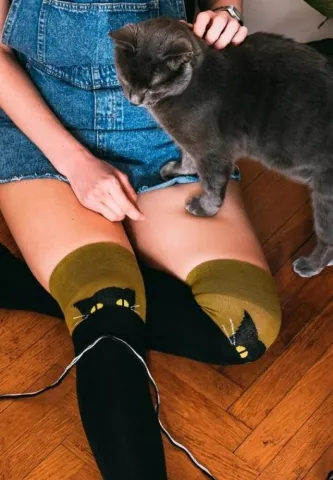 Șosete Damă Vesele Peste Genunchi Pisică